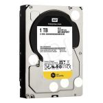 HDD WD CAVIAR RE 1TB 3,5\ 7200 RPM SATA III 64MB WD1003FBYZ