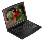 MSI GT72 2PC(Dominator)-076XPL i7-4710HQ 16GB 17,3 FHD 1TB+256GB SSD GTX870M(6GB) DOS