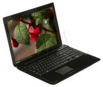 TOSHIBA C55-A-1GJ i3-3110M 4GB 750 15,6 INTHD W8